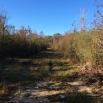 Recreational land for sale in Winn Parish