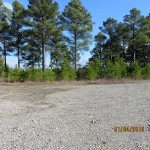 Saline County Timberland property for sale