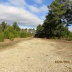 Timberland for sale in Saline County