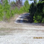 Saline County Timberland property for sale
