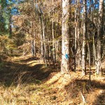 Investment land for sale in Caldwell Parish