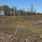 Timberland for sale in Lincoln Parish