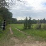Residential land for sale in Beauregard Parish