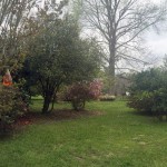Residential land for sale in Beauregard Parish