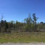 Timberland for sale in Lincoln Parish