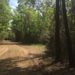 Investment property for sale in DeSoto Parish