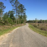 Residential land for sale in Jackson Parish