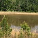 Timberland for sale in DeSoto Parish