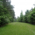 Recreational land for sale in Webster Parish
