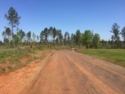 Development land for sale in Jackson Parish