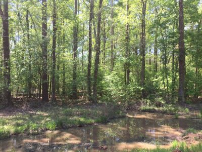 Investment property for sale in Bienville Parish