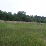 Recreational land for sale in Bienville Parish