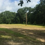 Timberland for sale in Beauregard Parish