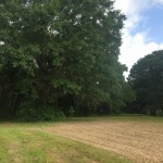 Agricultural land for sale in Beauregard Parish