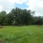 Investment property for sale in St. Martin Parish