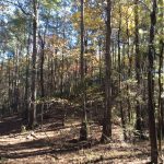Investment property for sale in Caldwell Parish