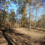 Lafayette County Residential property for sale