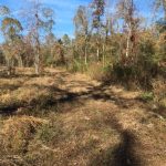 Bossier Parish Recreational land for sale