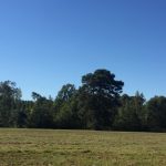Recreational land for sale in Beauregard Parish