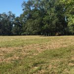 Beauregard Parish Development land for sale