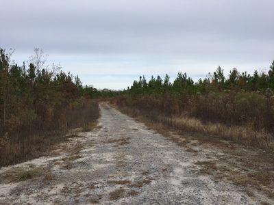 Recreational property for sale in Jackson Parish