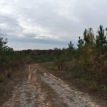 Jackson Parish Development land for sale