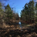 Investment land for sale in Lafayette County