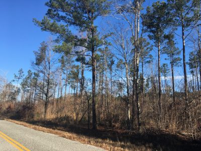 Columbia County Development land for sale
