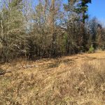 Lafayette County Investment property for sale