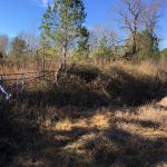 Recreational land for sale in Lafayette County