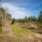 Investment property for sale in Bossier Parish