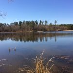 Caddo Parish Recreational land for sale