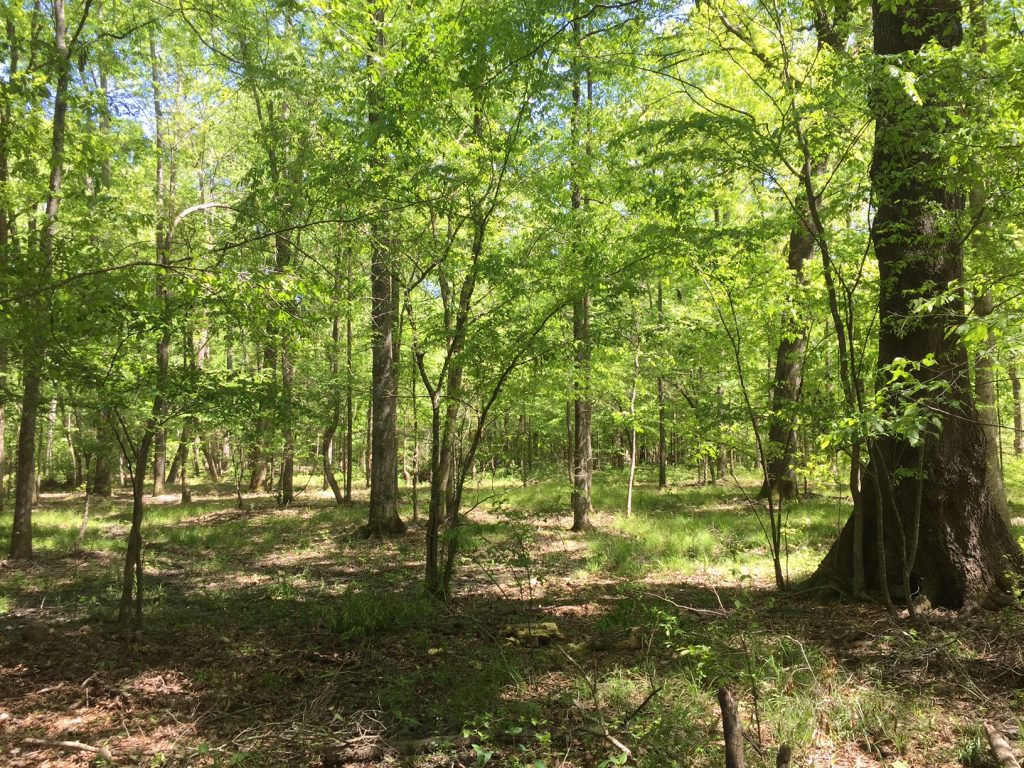 Residential property for sale in Lincoln Parish