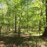 Residential property for sale in Lincoln Parish