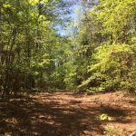Lincoln Parish Residential land for sale