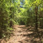 Residential land for sale in Lincoln Parish