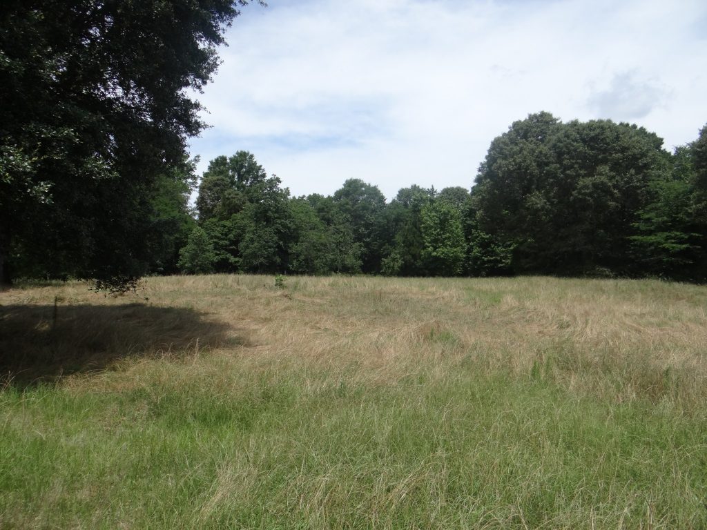Residential land for sale in Bienville Parish