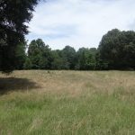 Residential land for sale in Bienville Parish