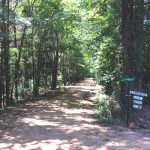 Timberland property for sale in Grant Parish