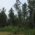 Recreational property for sale in Lincoln Parish