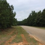 Timberland property for sale in Lincoln Parish