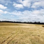 Farmland property for sale in Union Parish
