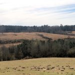 Union Parish Agricultural land for sale