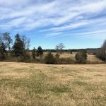 Union Parish Pasture land for sale