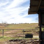 Union Parish Farmland for sale