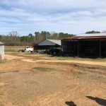 Union Parish Farmland property for sale