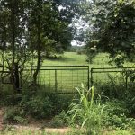 Union Parish Ranchland property for sale