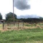 Farmland for sale in Union Parish