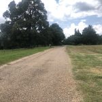 Agricultural land for sale in Union Parish