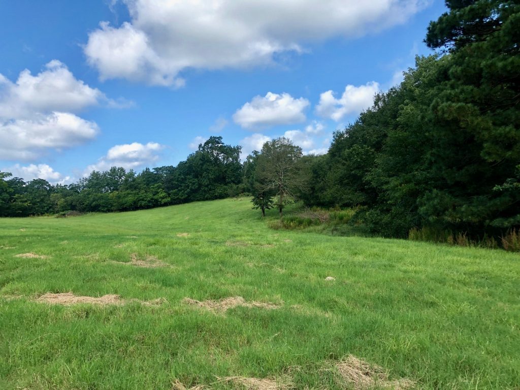 Pasture land for sale in Union Parish